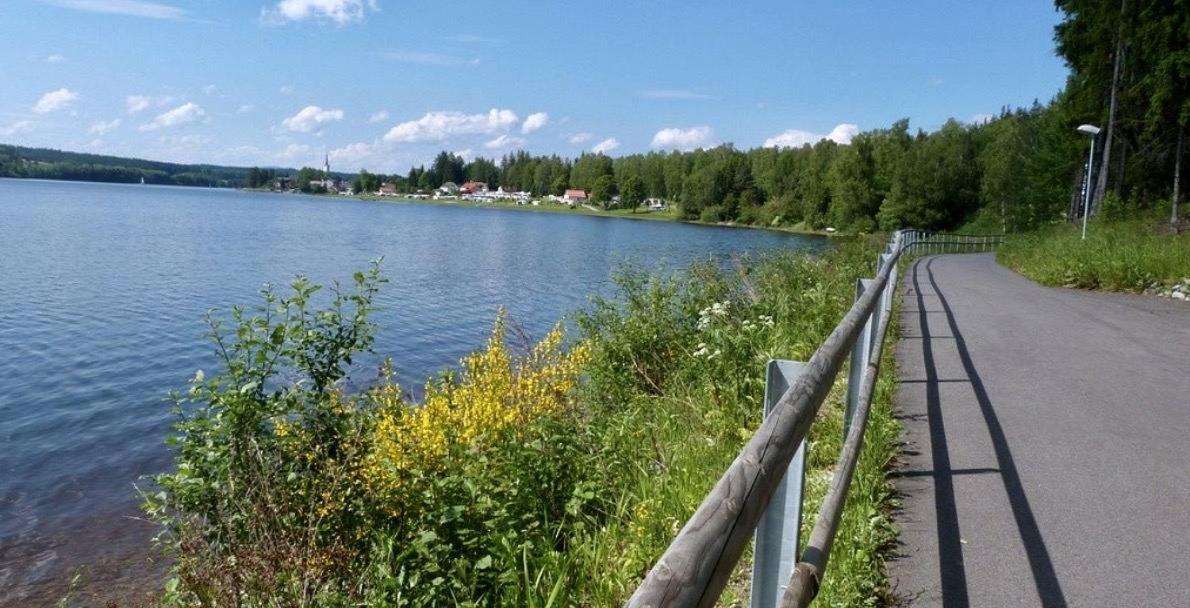 Holiday House Lipno-Slupecna Lipno nad Vltavou Εξωτερικό φωτογραφία